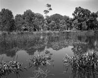 Trin Warren Tam-boore, within construction zone. Silver gelatin photograph