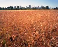 Melbourne CBD from Native Grassland Circle, within construction zone. Chromogenic photograph