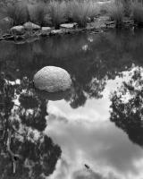 Billabong near Flemington Road.  Silver gelatin photograph