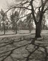 Near Urban Camp. Early spring. Silver gelatin photograph