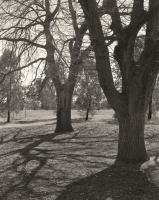 Near Urban Camp. Early spring. silver gelatin photograph