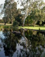 Pond, Australian Native Garden. Chromogenic photograph